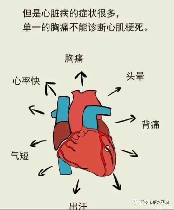 【健康科普】心肌缺血了,怎么办? 【健康科普】心肌缺血了,怎么办?