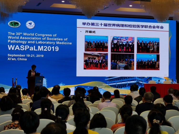 市九院医学检验科助力第三十届世界病理与检验联合大会的成功举办