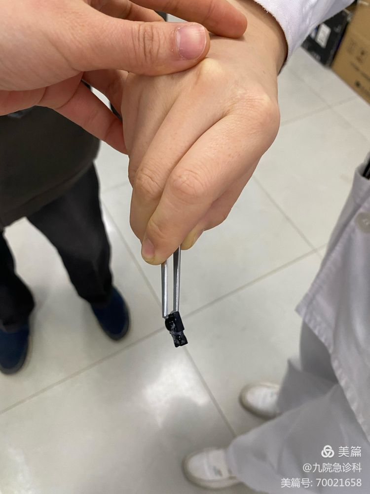 奔跑,为了生命的呼唤 奔跑,为了生命的呼唤