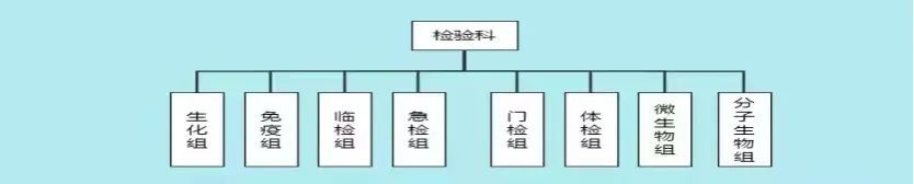 【科室动态】加强科室精细化管理、推动医院高质量发展