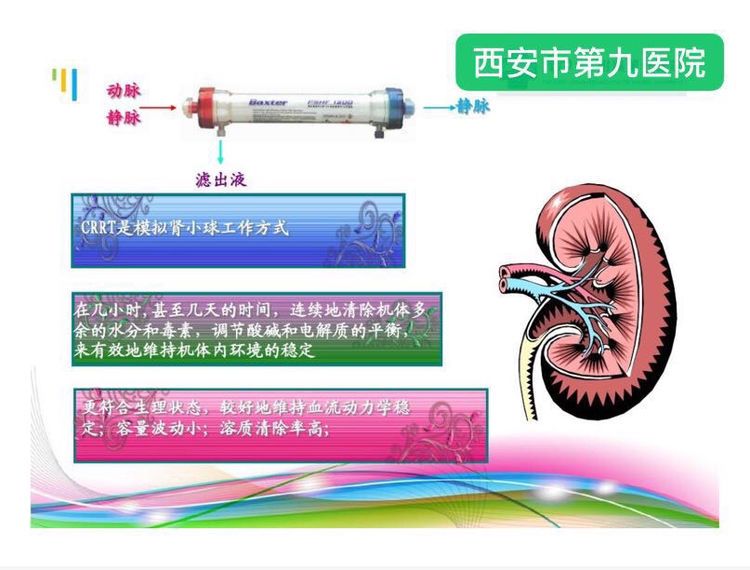 蜂蜇伤不可小觑 蜂蜇伤不可小觑