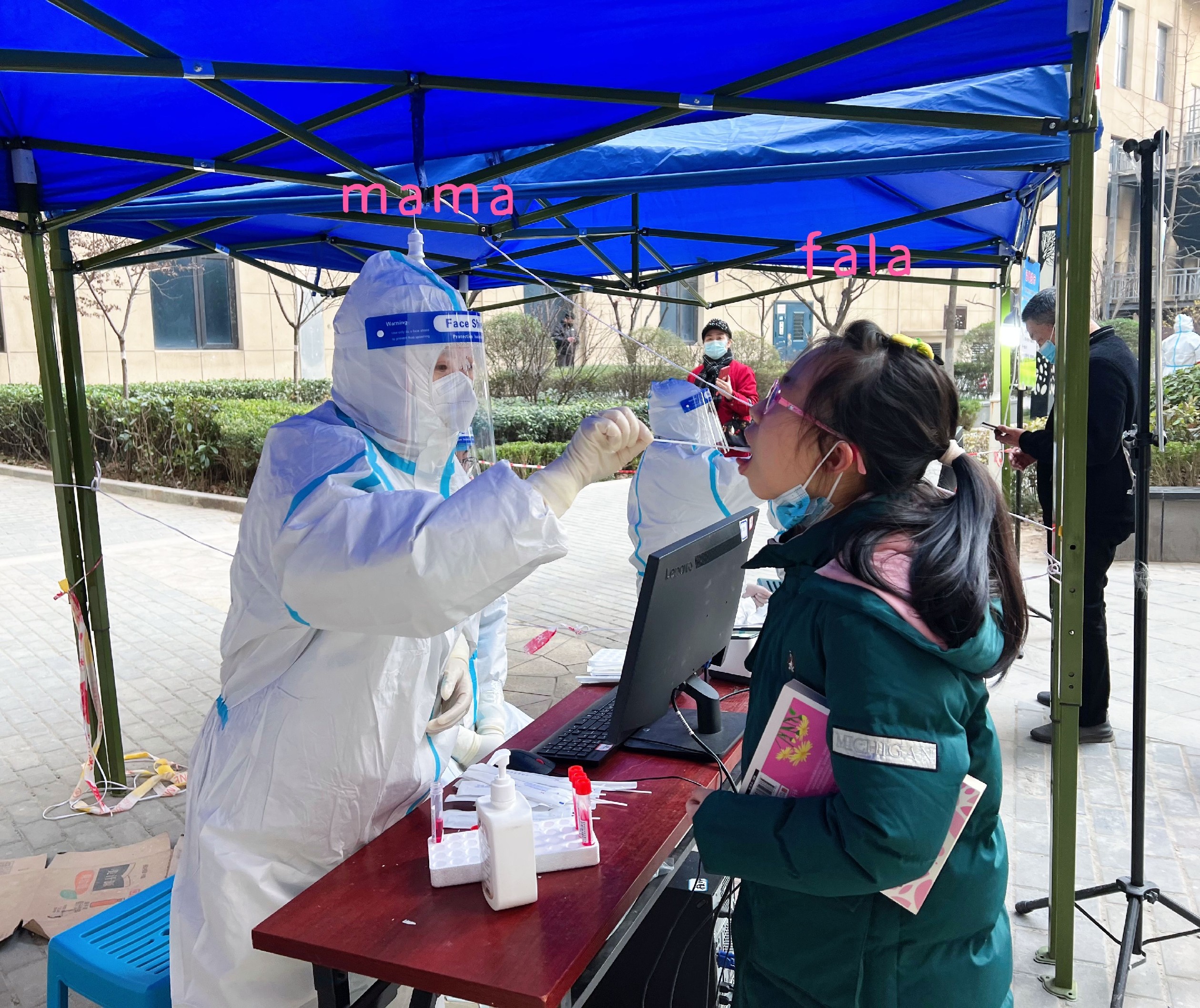 最美职工——机关第二党支部 甄珍 雷少辉 最美职工——机关第二党支部 甄珍 雷少辉