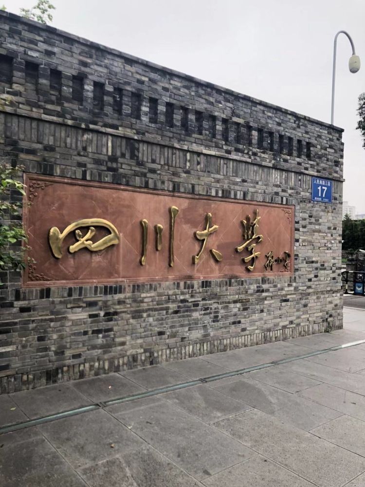 思考与过程华西医院进修汇报 思考与过程华西医院进修汇报