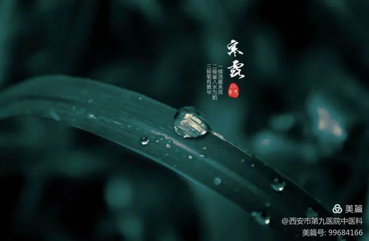 【健康科普】中医说——寒露时节天渐寒 【健康科普】中医说——寒露时节天渐寒