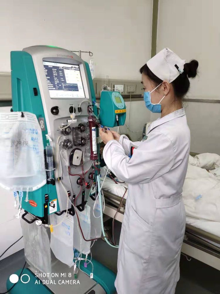 蜂蜇伤不可小觑 蜂蜇伤不可小觑