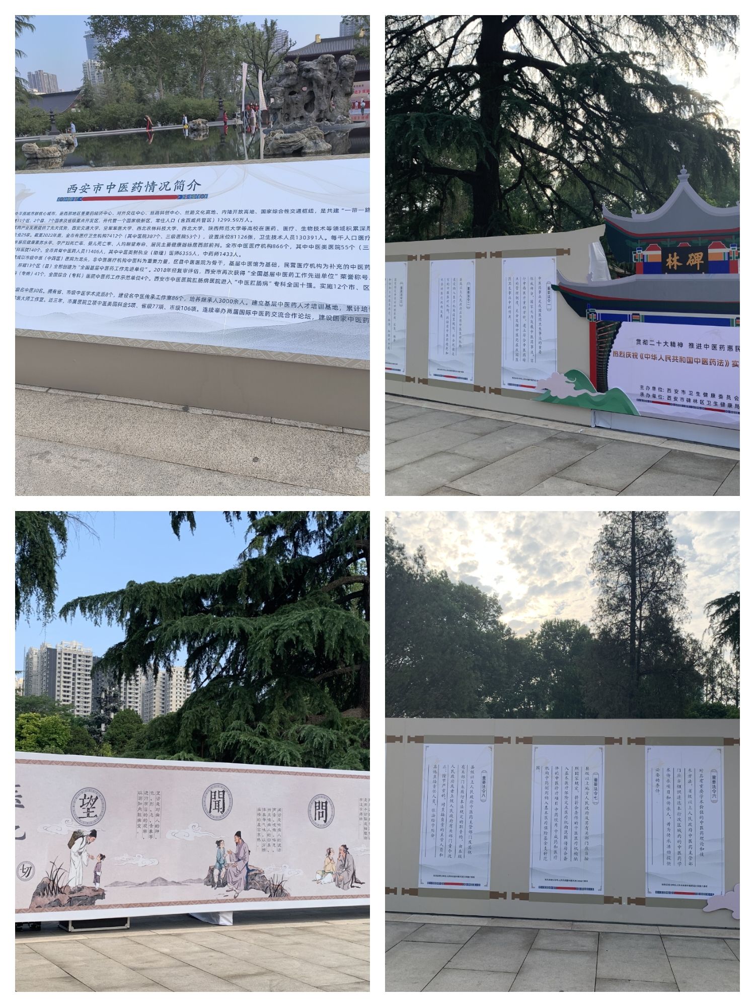 中医科参加《中华人民共和国中医药法》实施六周年庆祝活动掠影 中医科参加《中华人民共和国中医药法》实施六周年庆祝活动掠影