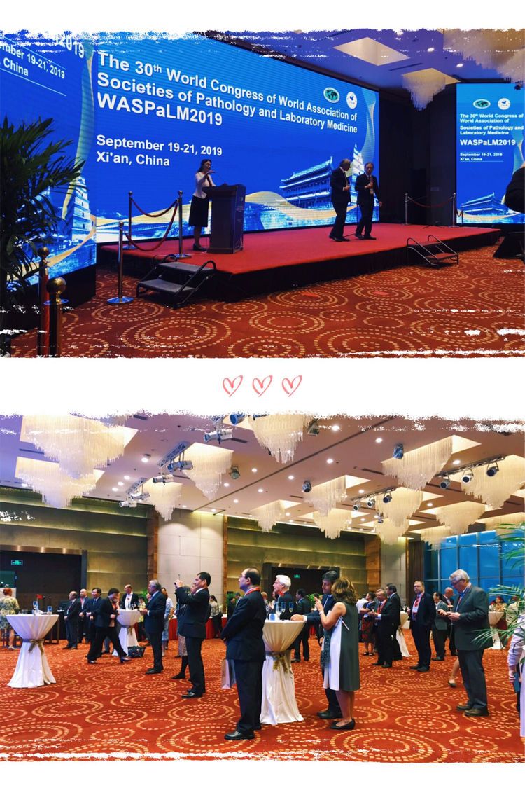 市九院医学检验科助力第三十届世界病理与检验联合大会的成功举办