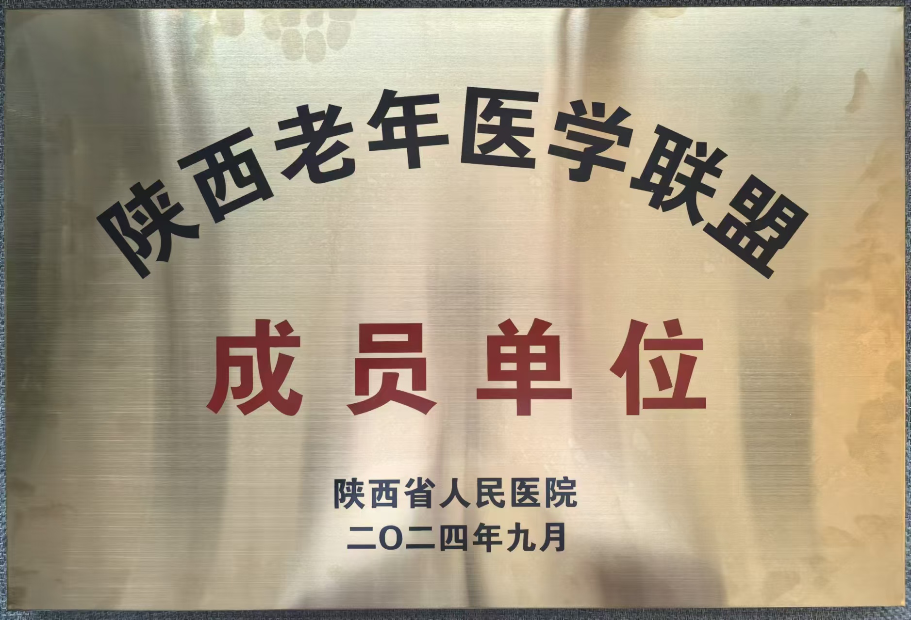 凝聚磅礴力量 发展老年医学 凝聚磅礴力量 发展老年医学