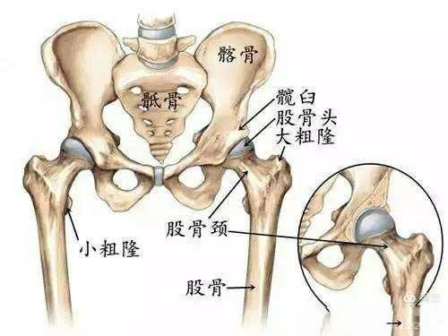 中西医结合体系化管理在老年髋部骨折便秘患者中的应用 中西医结合体系化管理在老年髋部骨折便秘患者中的应用