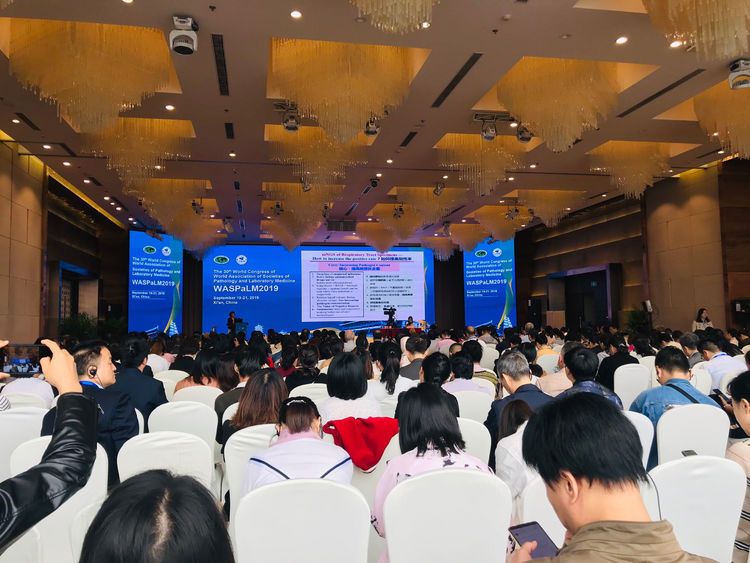 市九院医学检验科助力第三十届世界病理与检验联合大会的成功举办