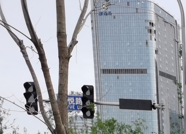 今日之星——西安市第九医院十四运媒体村医疗站马磊医师 今日之星——西安市第九医院十四运媒体村医疗站马磊医师